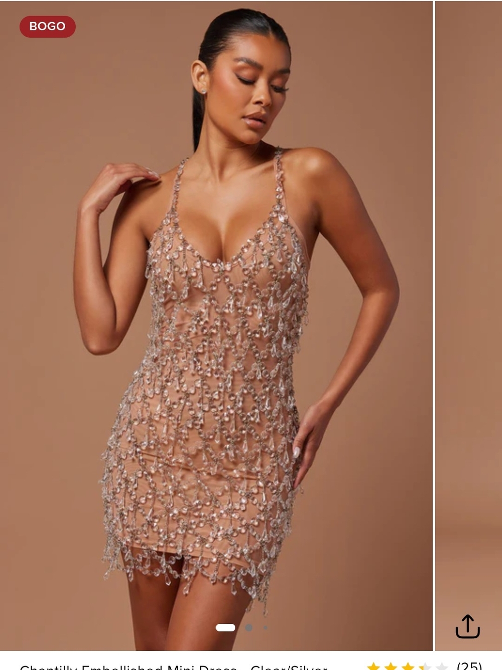 Chantilly Embellished Mini Dress in Nude/Silver